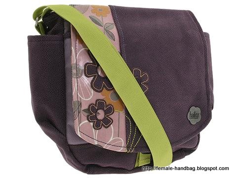 Female-handbag:handbag-1219379
