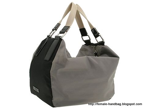 Female-handbag:handbag-1219384