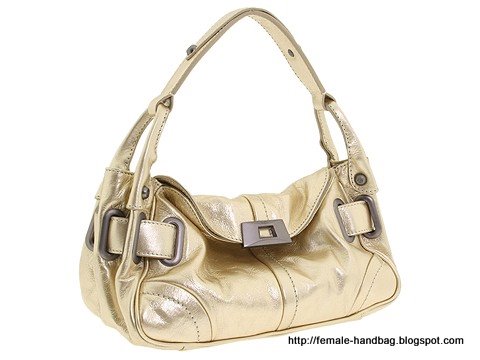 Female-handbag:female-1219382