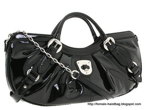 Female-handbag:handbag-1219383