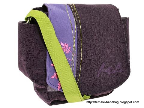 Female-handbag:handbag-1219395