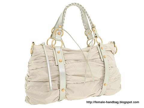 Female-handbag:handbag-1219406