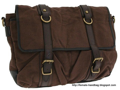 Female-handbag:handbag-1219416