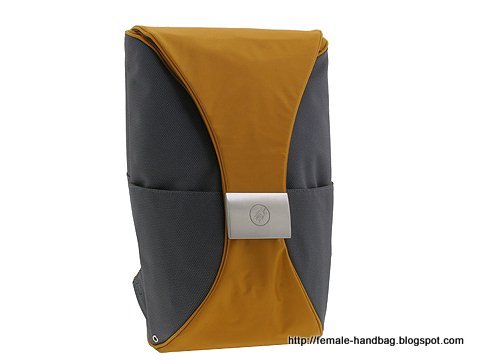 Female-handbag:handbag-1219462