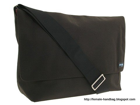 Female-handbag:female-1219482