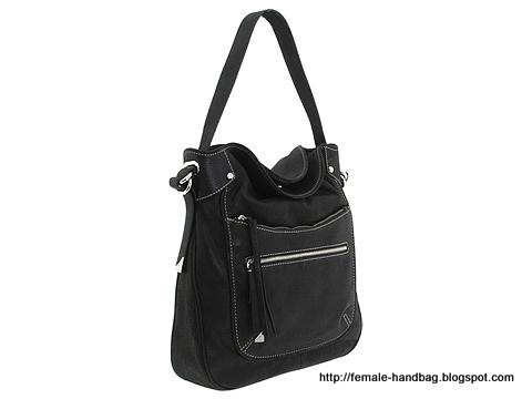 Female-handbag:handbag-1219488