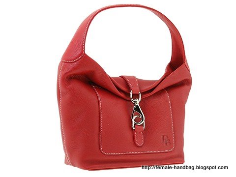 Female-handbag:handbag-1216889