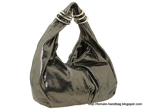 Female-handbag:handbag-1216406