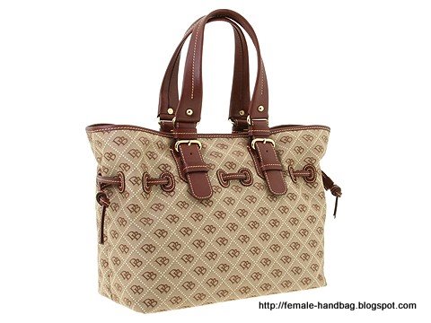 Female-handbag:female-1216424
