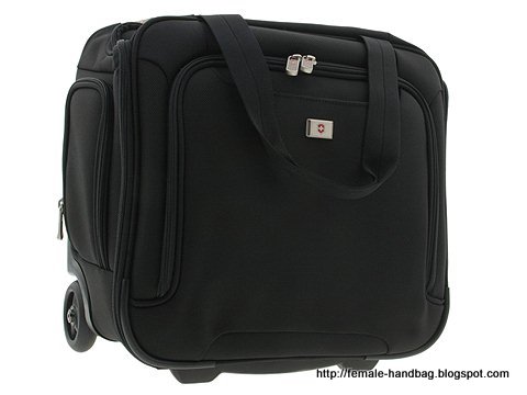 Female-handbag:handbag-1217797