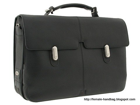 Female-handbag:handbag-1217810