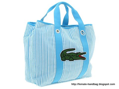 Female-handbag:handbag-1217895