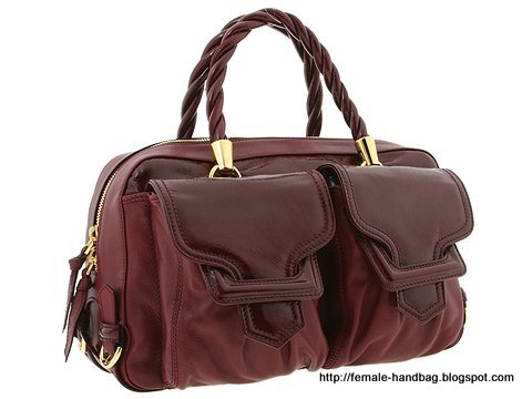 Female-handbag:handbag-1217904