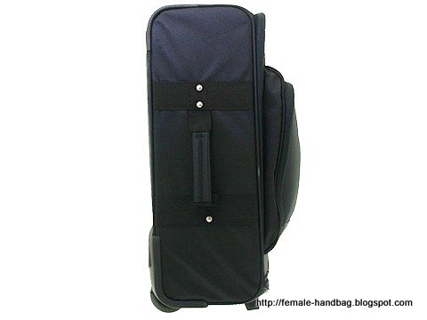 Female-handbag:handbag-1217783