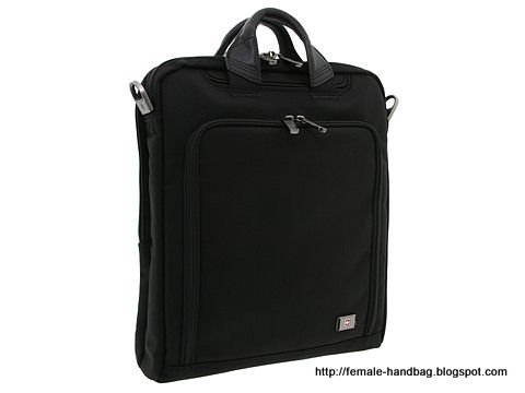 Female-handbag:handbag-1218208