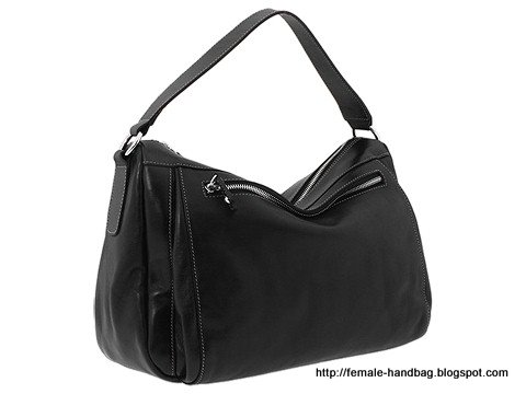 Female-handbag:handbag-1218026