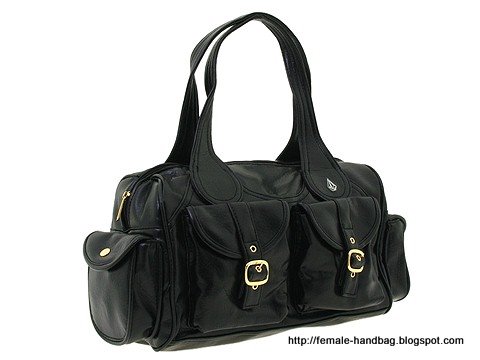 Female-handbag:handbag-1218033