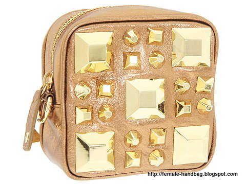 Female-handbag:handbag-1218051