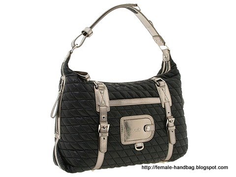 Female-handbag:handbag-1218078