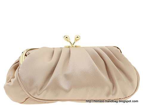 Female-handbag:handbag-1218082