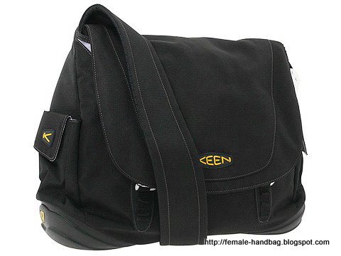 Female-handbag:handbag-1218101