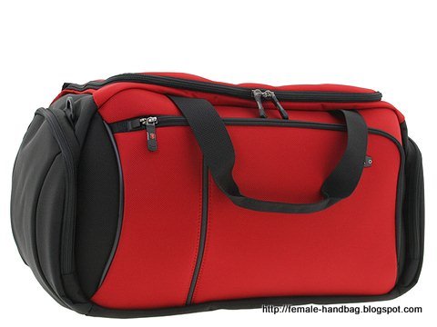 Female-handbag:handbag-1218115