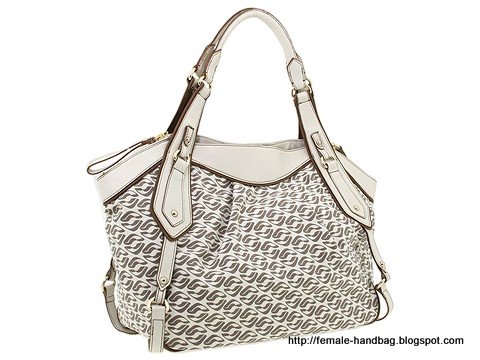 Female-handbag:handbag-1218143