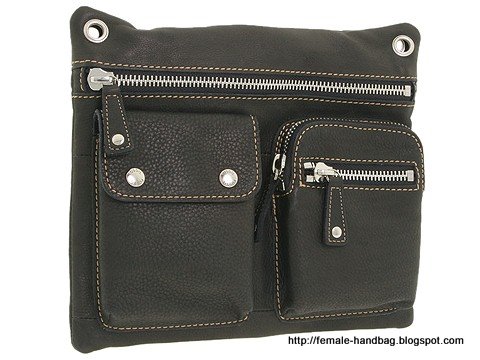 Female-handbag:handbag-1218410