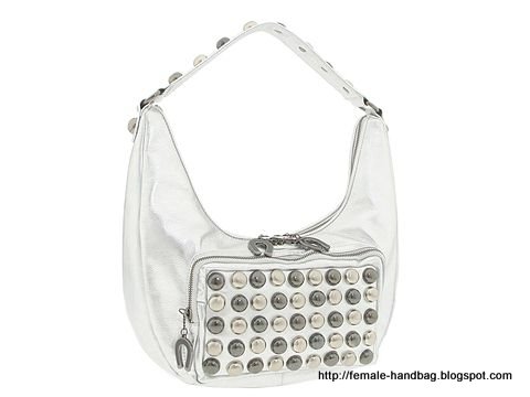 Female-handbag:handbag-1218439