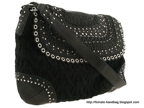Female-handbag:handbag-1218240