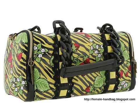 Female-handbag:handbag-1218246