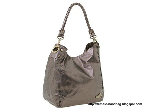 Female-handbag:handbag-1218265