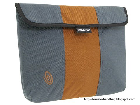 Female-handbag:handbag-1218453