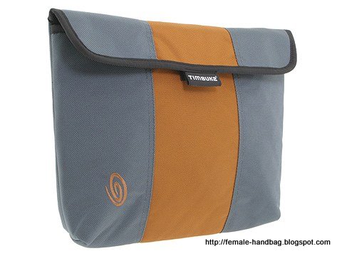Female-handbag:handbag-1218451