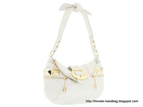 Female-handbag:handbag-1218316