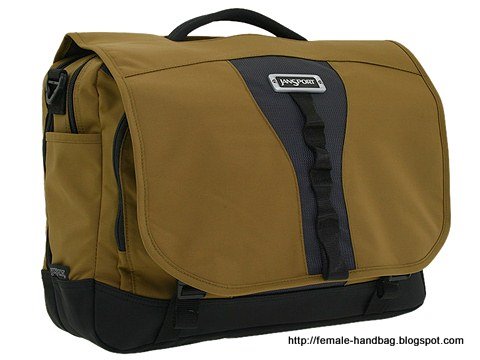 Female-handbag:handbag-1218315