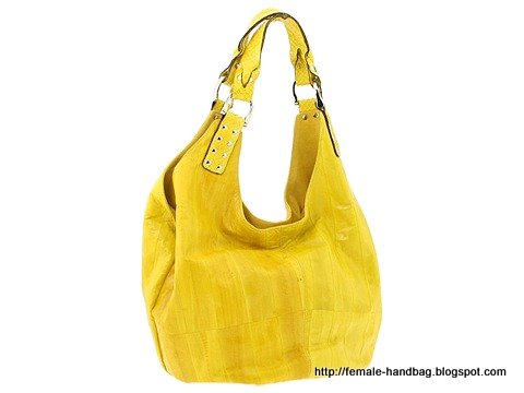 Female-handbag:handbag-1218344