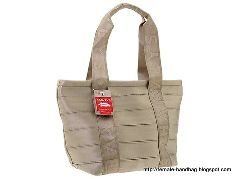 Female-handbag:handbag-1218358