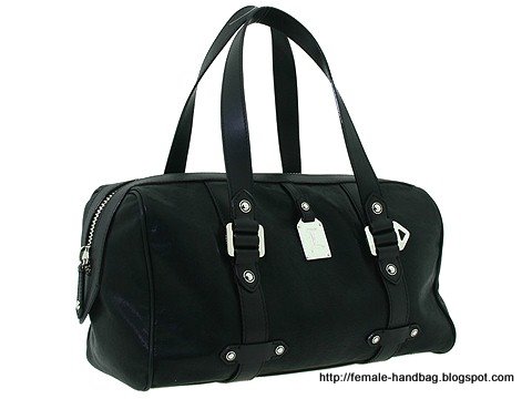 Female-handbag:handbag-1218367