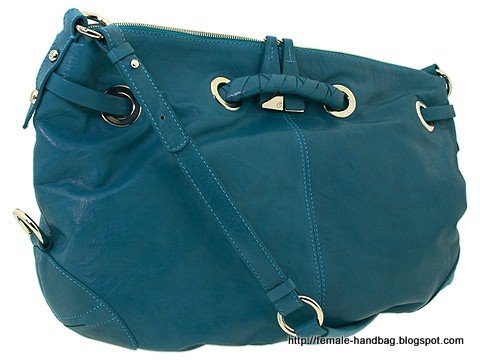 Female-handbag:handbag-1218369