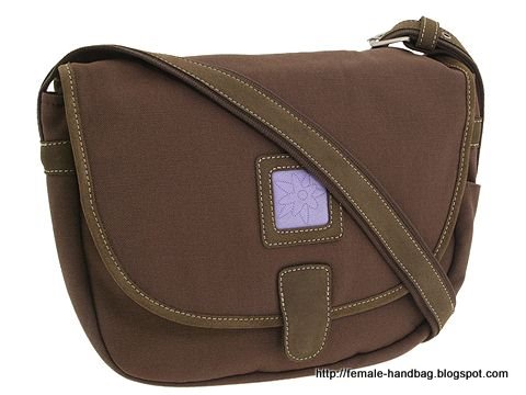 Female-handbag:handbag-1218377