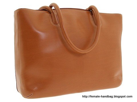 Female-handbag:handbag-1218391
