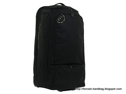 Female-handbag:handbag-1219287