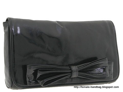 Female-handbag:handbag-1219293
