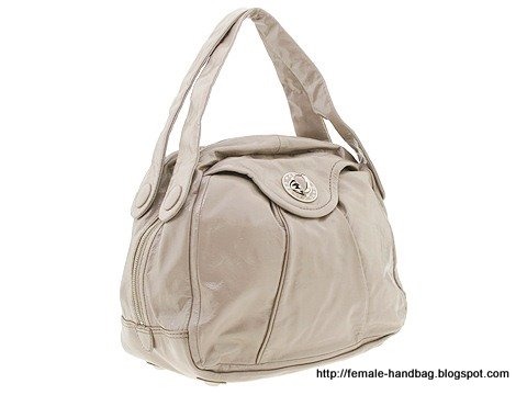 Female-handbag:handbag-1218478