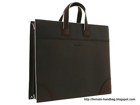 Female-handbag:handbag-1218480