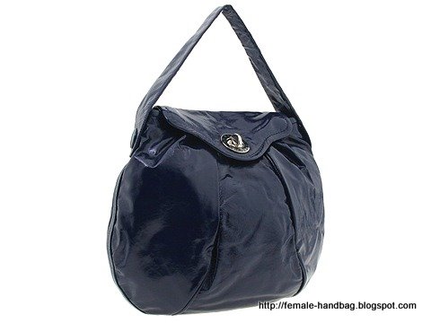 Female-handbag:handbag-1218483