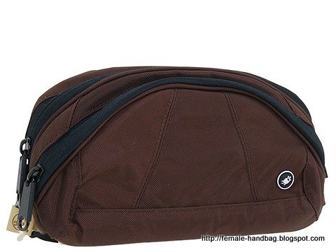 Female-handbag:handbag-1218979