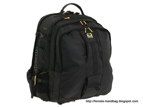 Female-handbag:handbag-1218996