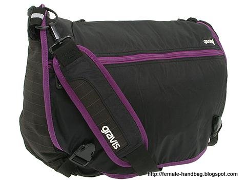 Female-handbag:handbag-1219016